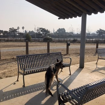 Seal Point Harbor Dog Park photo 2